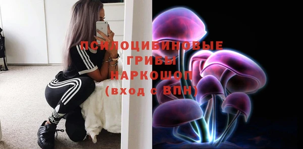 ECSTASY Белокуриха