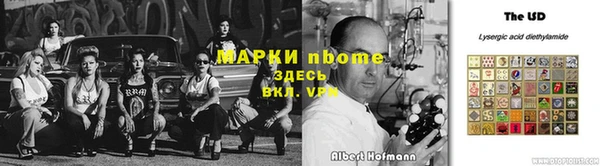 ECSTASY Белокуриха