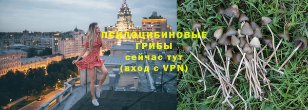 шишки Беломорск